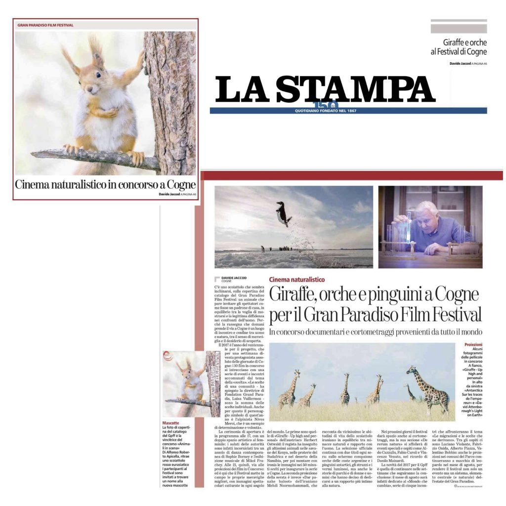 2017-07-23 La stampa Giraffe orche e pinguini a Cogne per il gran paradiso film festival