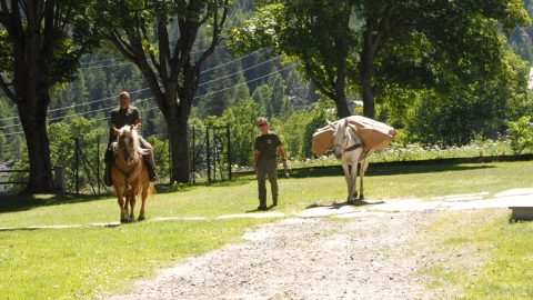 2016-07-17 Genius loci e genius saeculi del Gran Paradiso Ceresole Reale passeggiata Archivio Fondation Grand Paradis