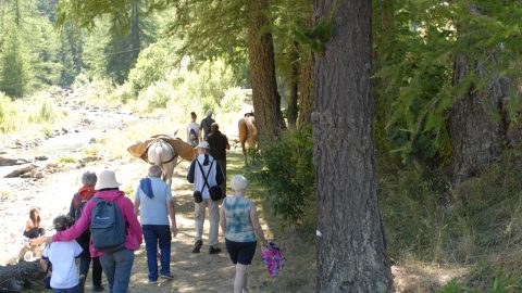 2016-07-17 Genius loci e genius saeculi del Gran Paradiso, Ceresole Reale passeggiata