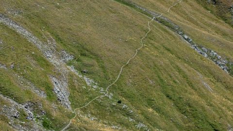 2016-08-23 Genius loci Cogne Escursione a Colonna Archivio Fondation Grand Paradis