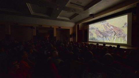 2017-07-24 20 Gran Paradiso Film Festival Cerimonia di apertura edizione 20