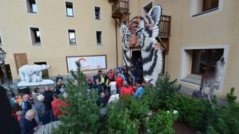 2017-07-25 Concorso Internazionale Foto Paolo Rey Entrata pubblico Maison de la Grivola Tigre