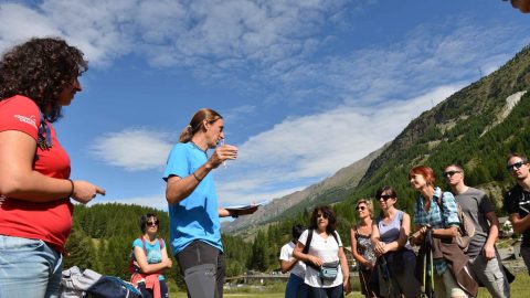 2017-07-28_Aria di Festival_Fabrizio Berra - Foto Paolo Rey