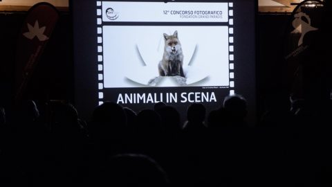 2017-08-14 Gran Paradiso Film Festival a Rhemes-Saint-Georges - Premiazione concorso fotografico -Archivio FGP (2)