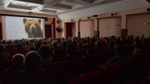 GPFF2018 Proiezione Concorso Internazionale Kamchactka Bears life begins Grivola Cogne