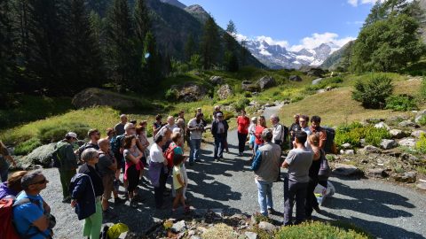 GPFF2018 Bioblitz Ente Parco Mingozzi Bonelli Zaccagno Manino Allegro Cristiano Marangoni Giardino botanico alpino paradisia