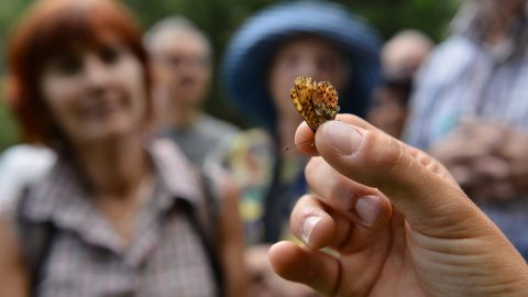 GPFF2018 Bioblitz Ente Parco Mingozzi Bonelli Zaccagno Manino Allegro Cristiano Marangoni Giardino botanico alpino paradisia