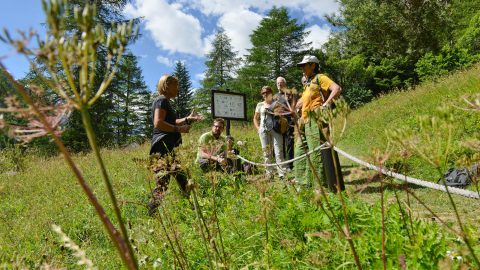 GPFF2018 Bioblitz Ente Parco Mingozzi Bonelli Zaccagno Manino Allegro Cristiano Marangoni Giardino botanico alpino paradisia