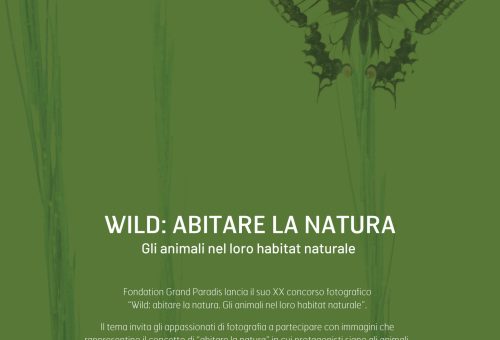 Concorso fotografico Wild: abitare la natura