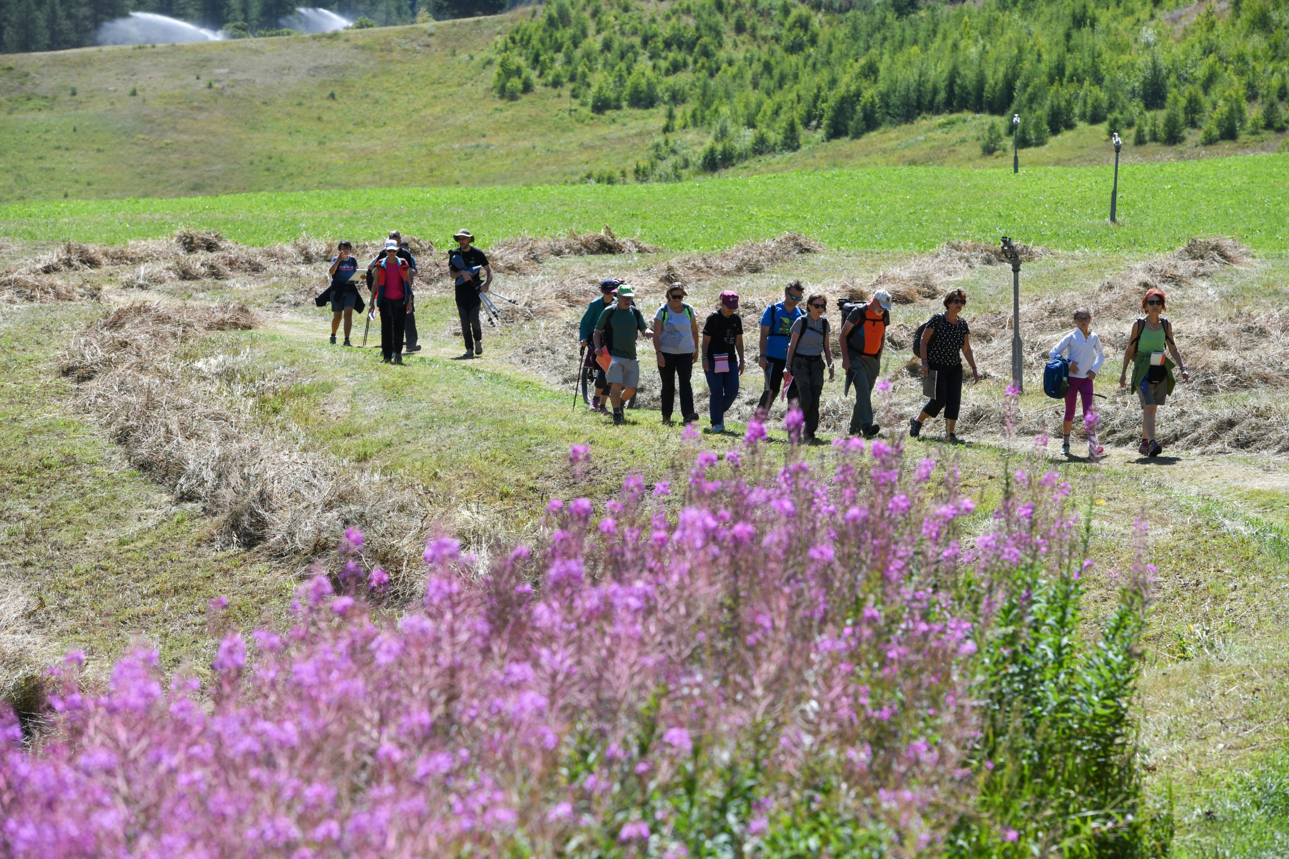 28GPFF_Passeggiata sonora _phPaoloRey_