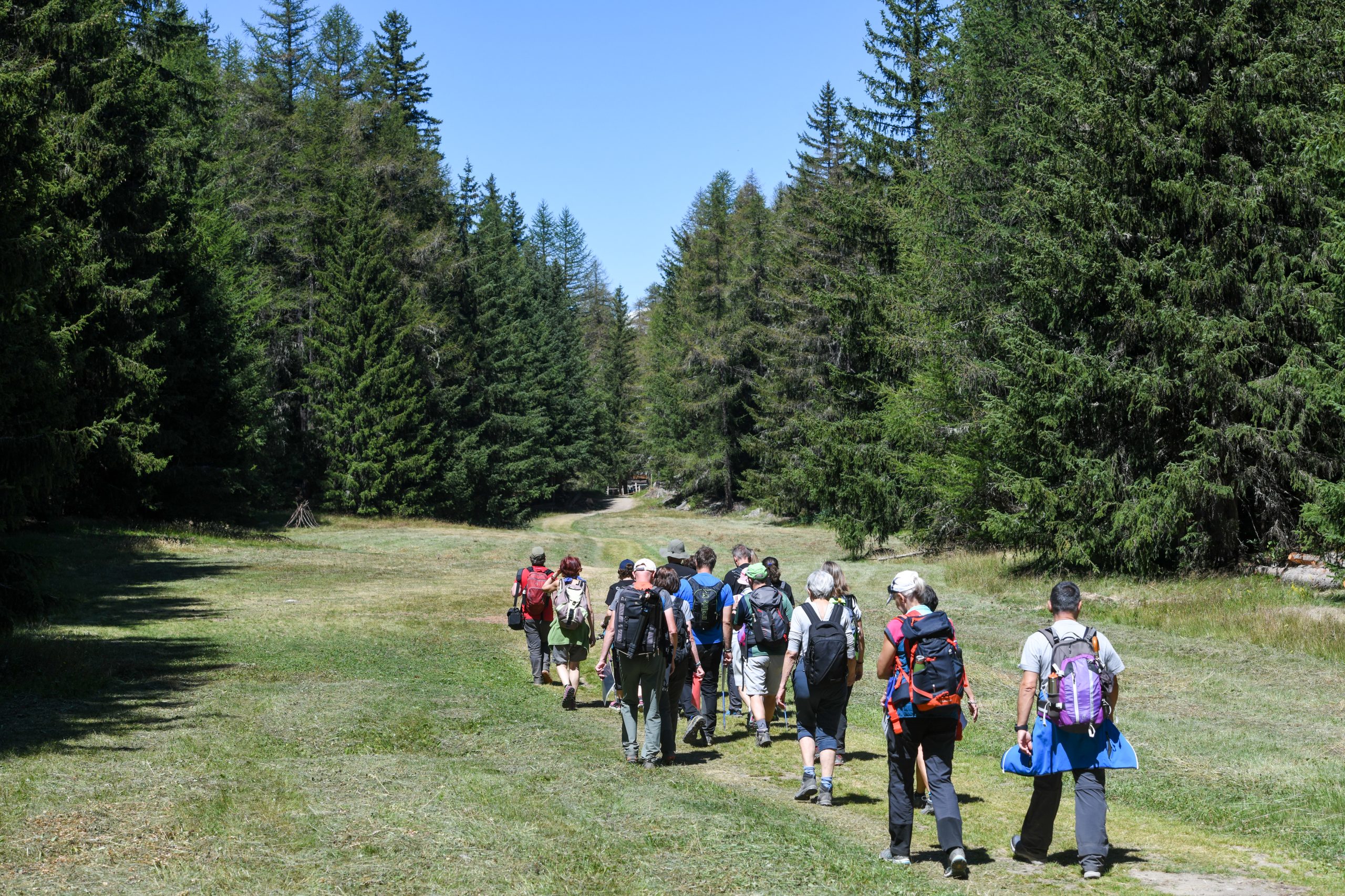 28GPFF_Passeggiata sonora _phPaoloRey_