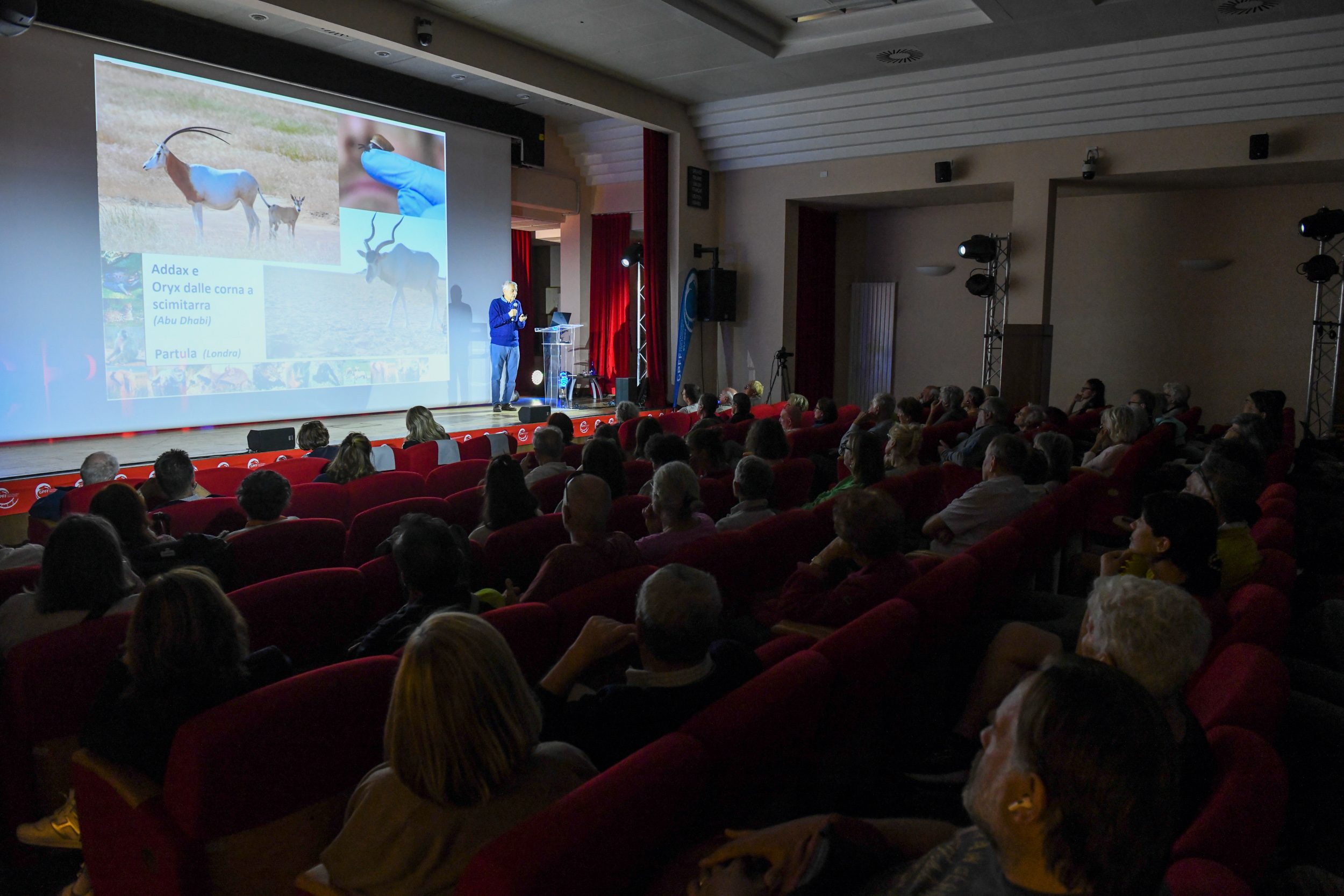 28GPFF - Photogallery Luigi Boitani - Namur_phPaoloRey_